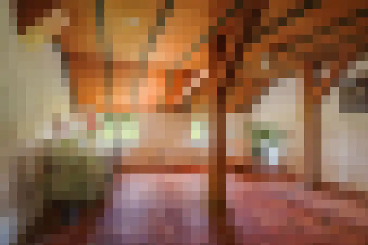 Bronsvoorderdijk 14 Bathmen thumbnail 47