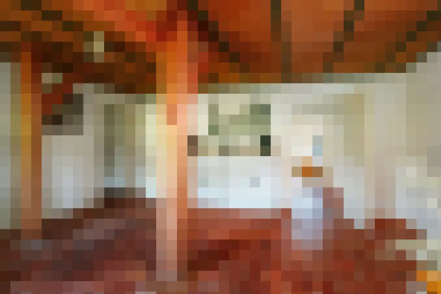 Bronsvoorderdijk 14 Bathmen thumbnail 48