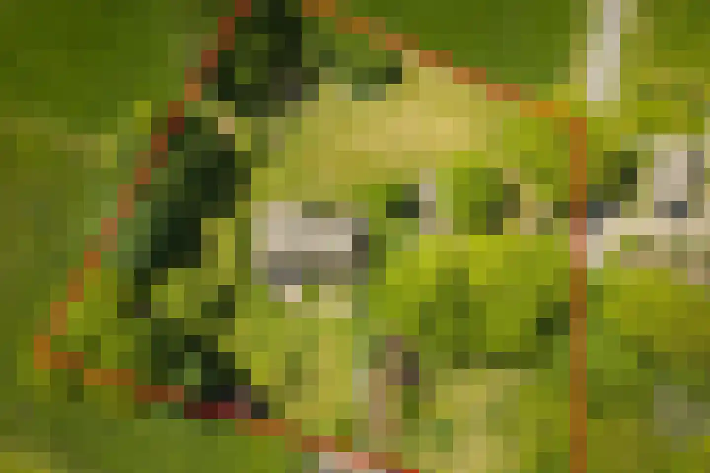 Bronsvoorderdijk 14 Bathmen thumbnail 5