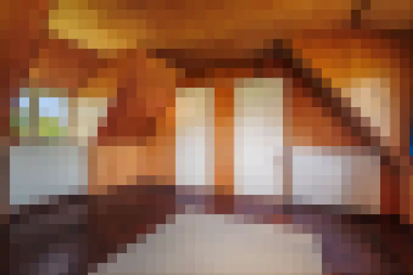 Bronsvoorderdijk 14 Bathmen thumbnail 58