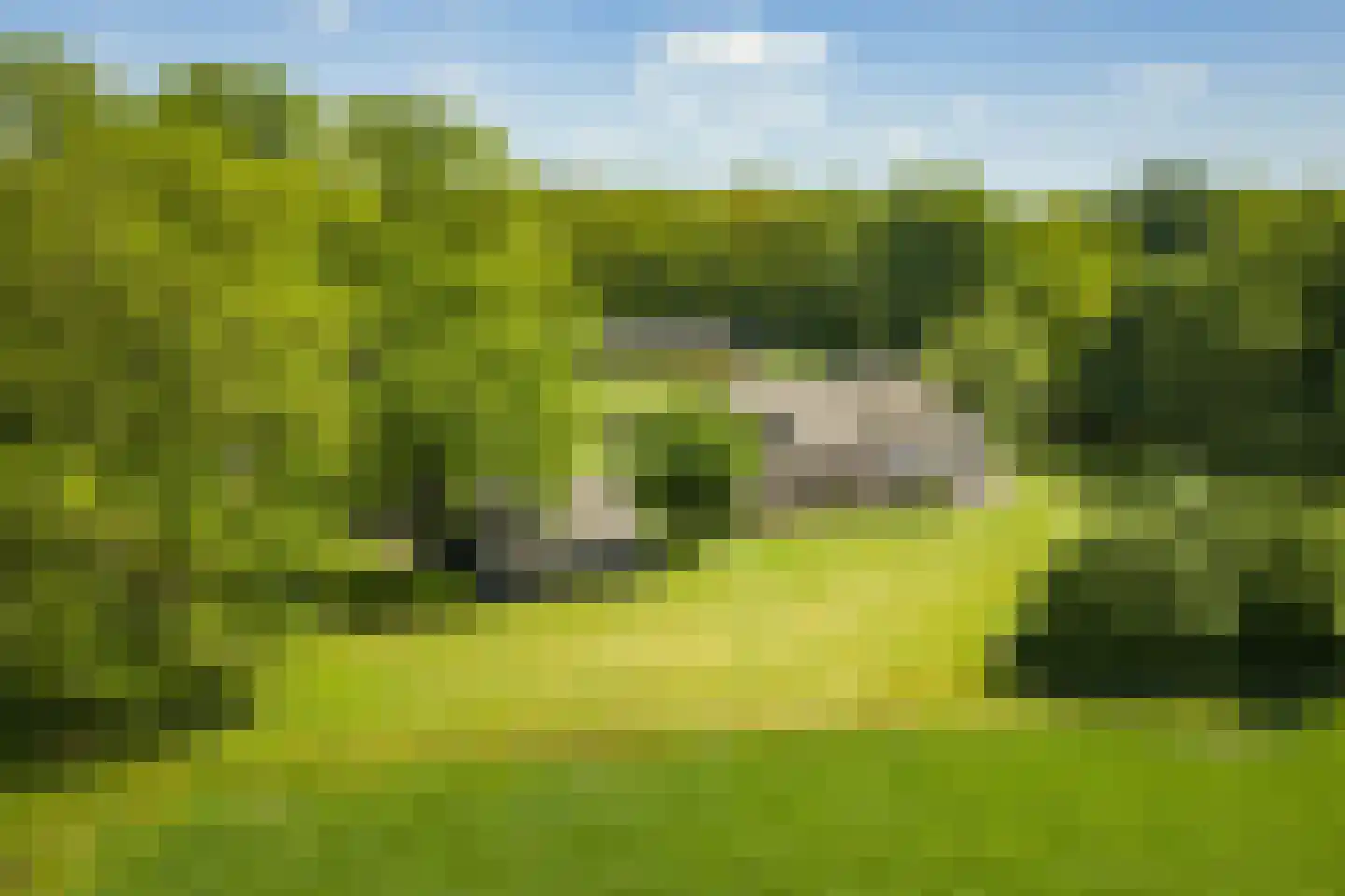 Bronsvoorderdijk 14 Bathmen thumbnail 9