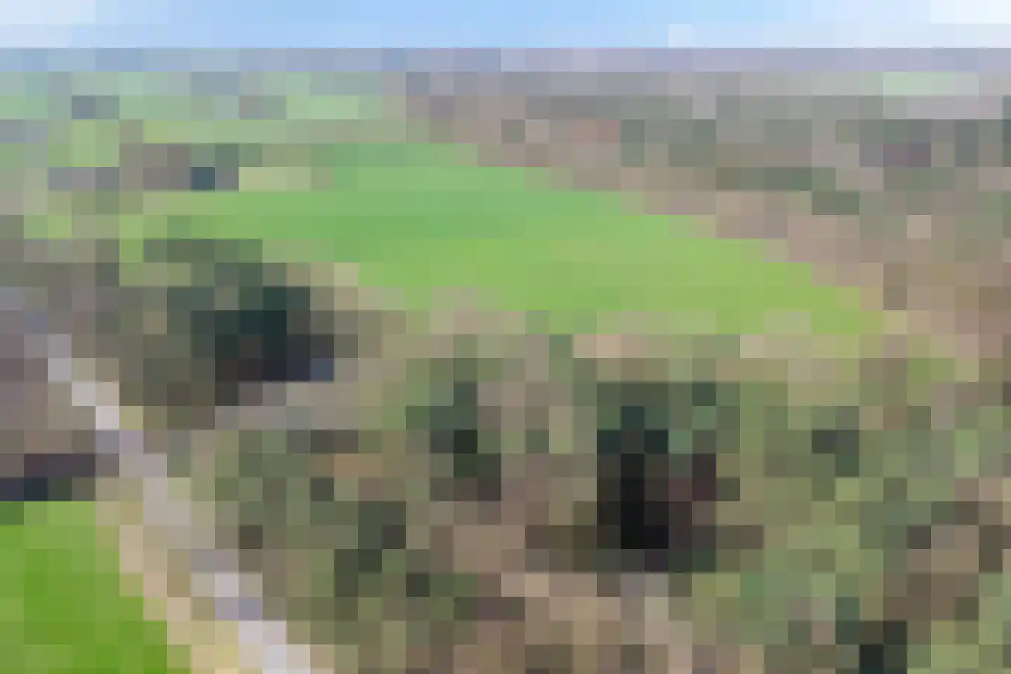 Bronsvoorderdijk 9 Bathmen thumbnail 12