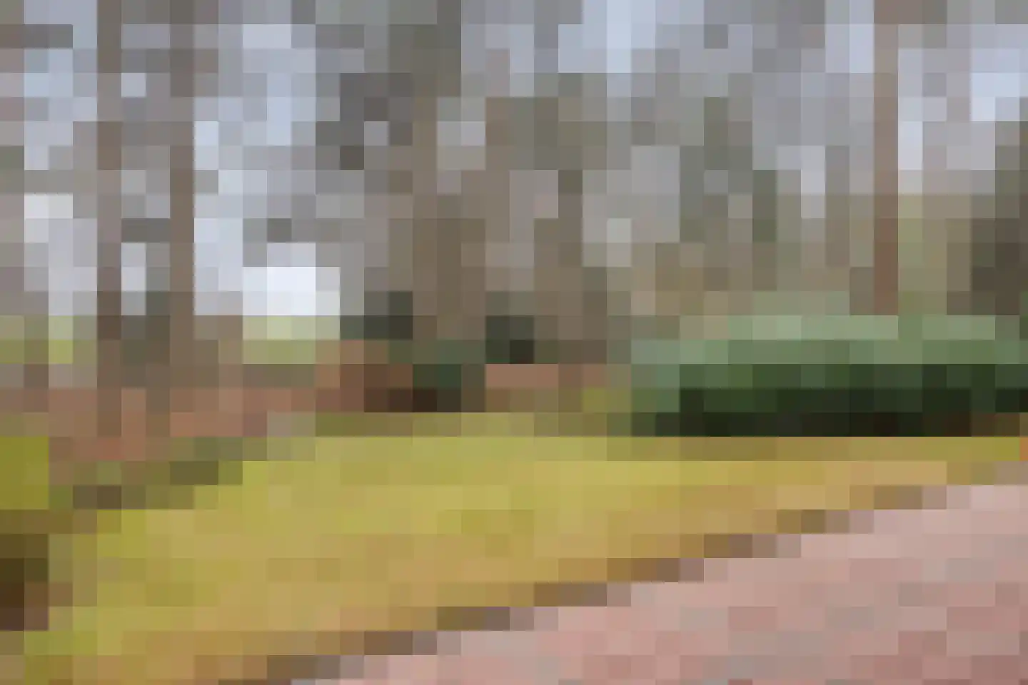 Bronsvoorderdijk 9 Bathmen thumbnail 37