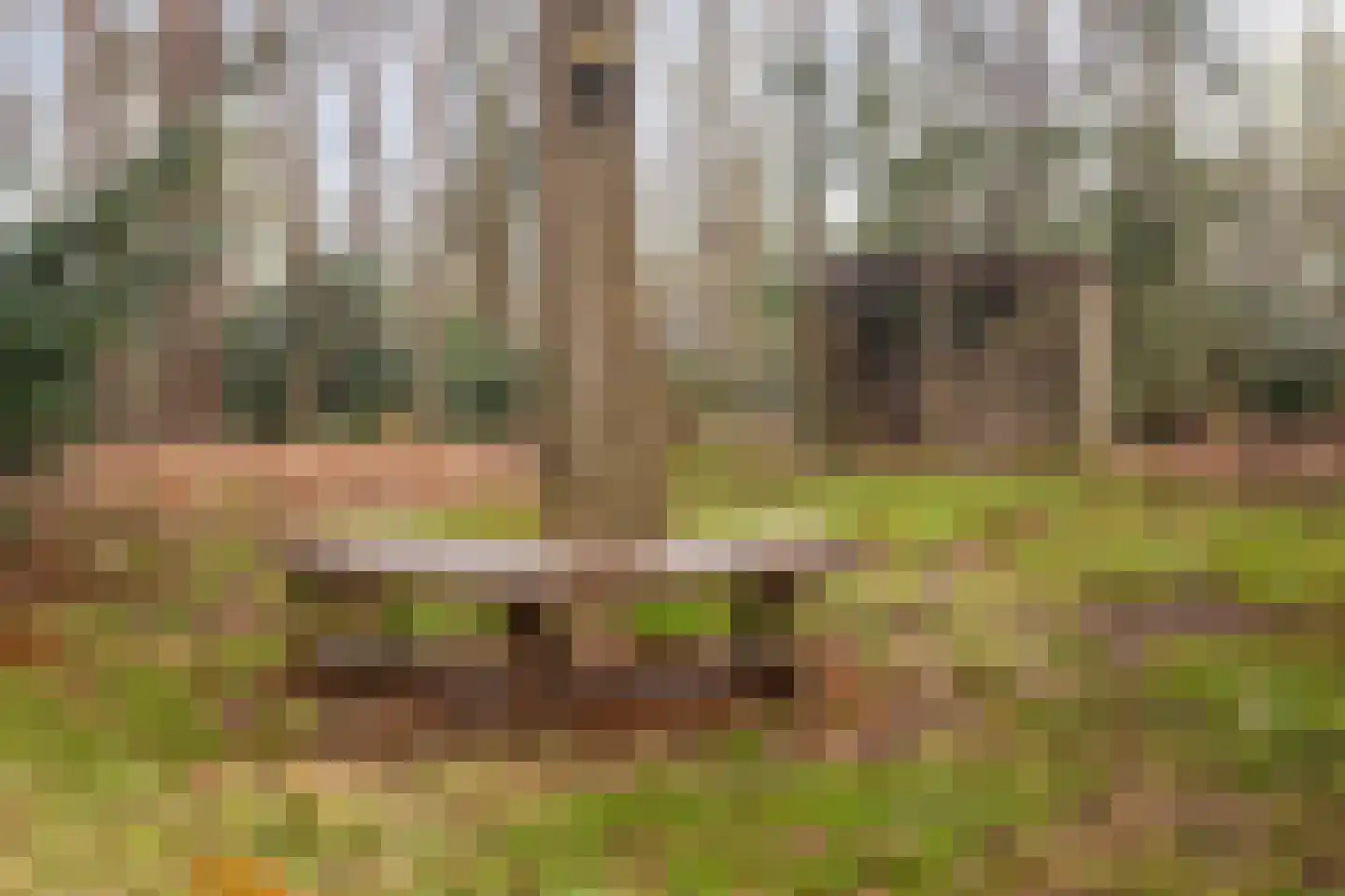 Bronsvoorderdijk 9 Bathmen thumbnail 41