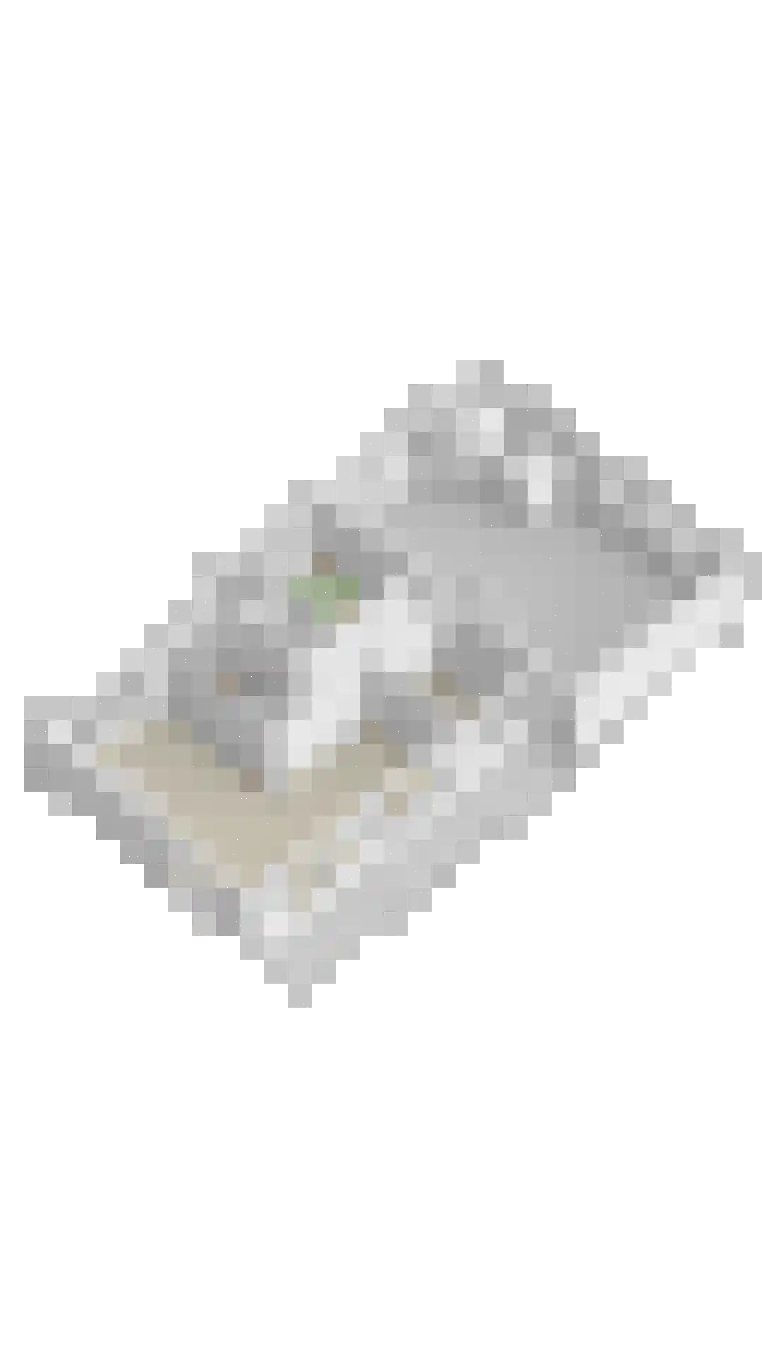 Bronsvoorderdijk 9 Bathmen thumbnail 47