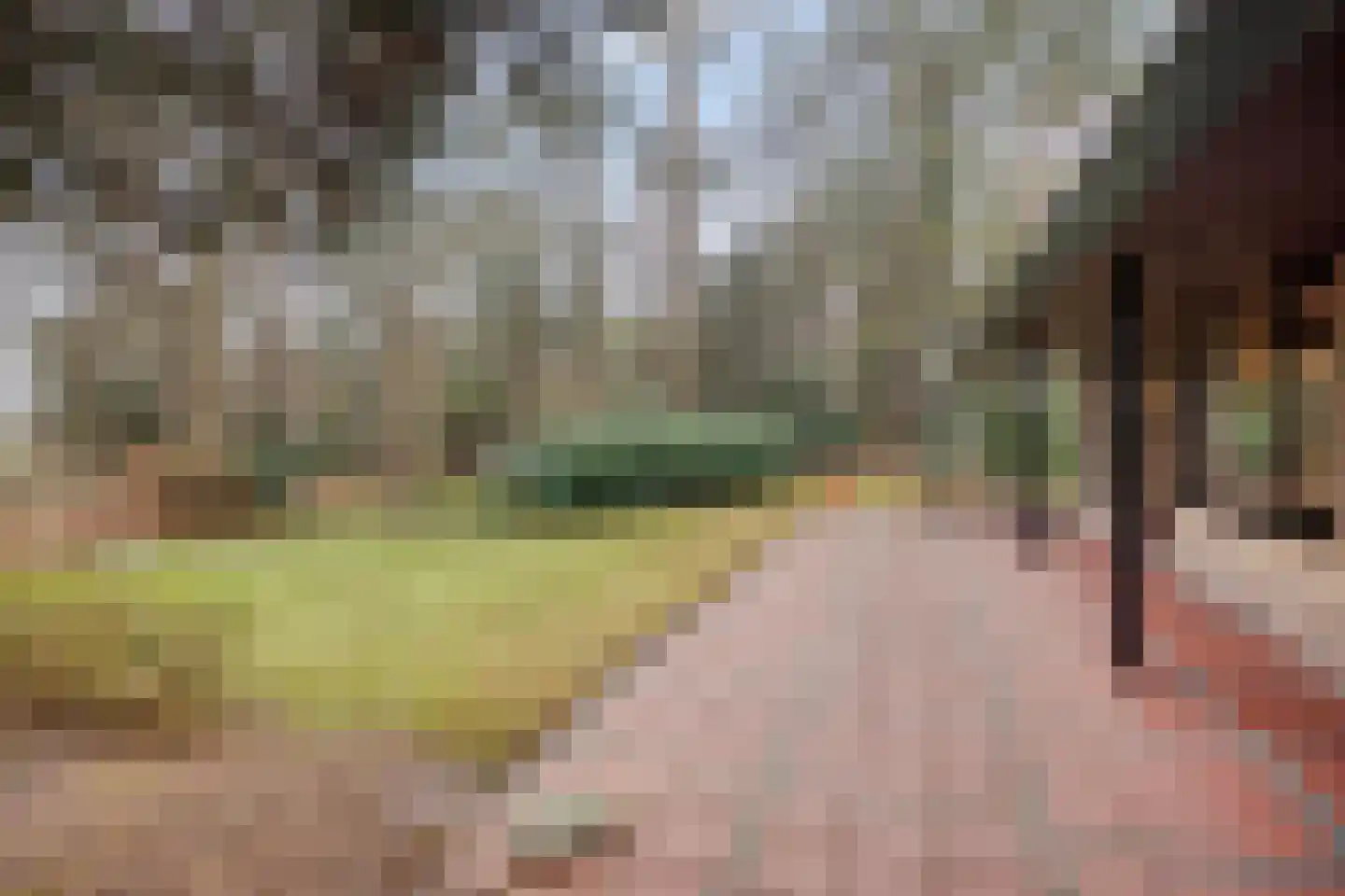 Bronsvoorderdijk 9 Bathmen thumbnail 5