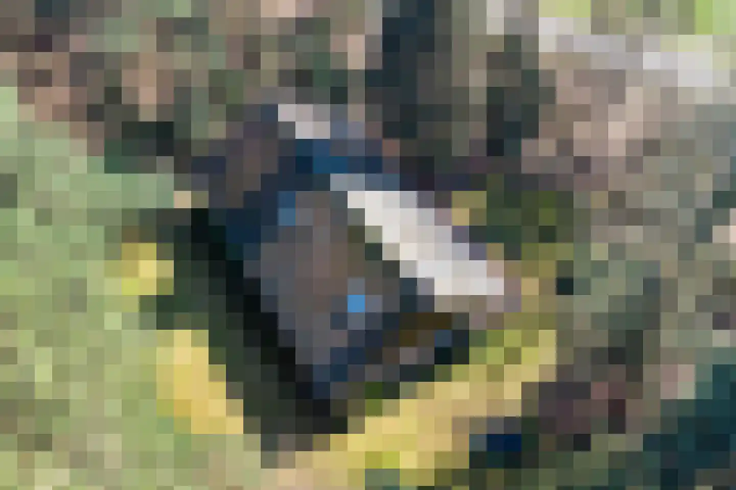Bronsvoorderdijk 9 Bathmen thumbnail 7