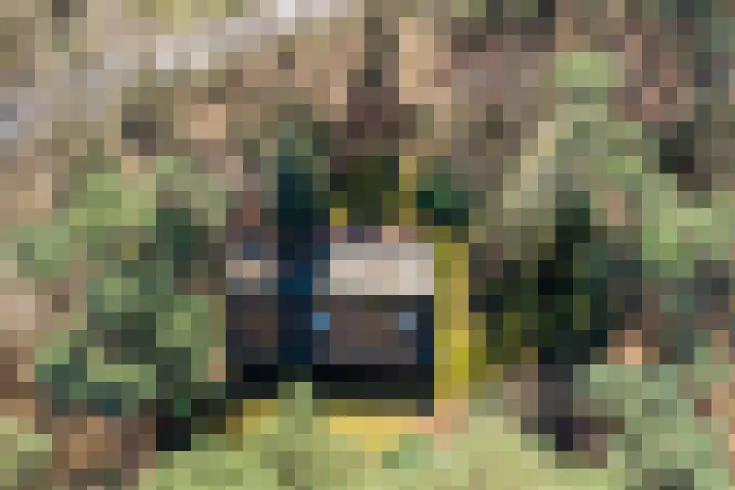 Bronsvoorderdijk 9 Bathmen thumbnail 9