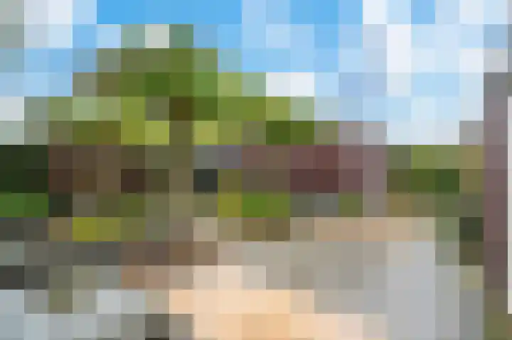 Bronsweg 18 Apeldoorn thumbnail 22