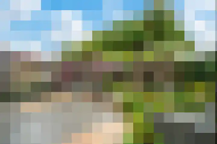 Bronsweg 18 Apeldoorn thumbnail 23