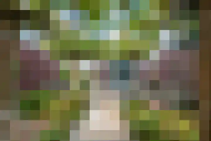 Bronsweg 18 Apeldoorn thumbnail 24