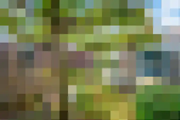 Bronsweg 18 Apeldoorn thumbnail 25