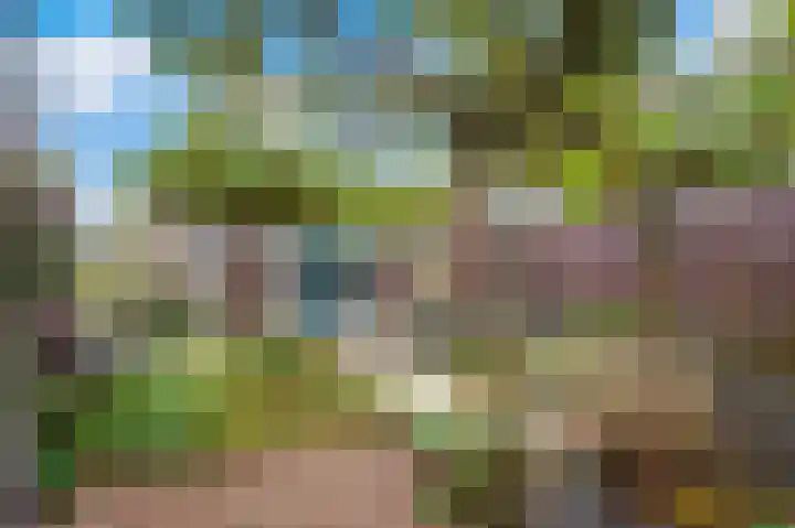 Bronsweg 18 Apeldoorn thumbnail 26