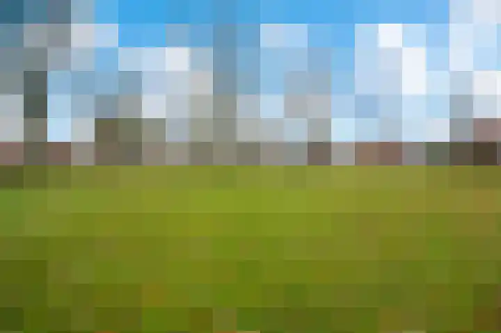 Bronsweg 18 Apeldoorn thumbnail 32