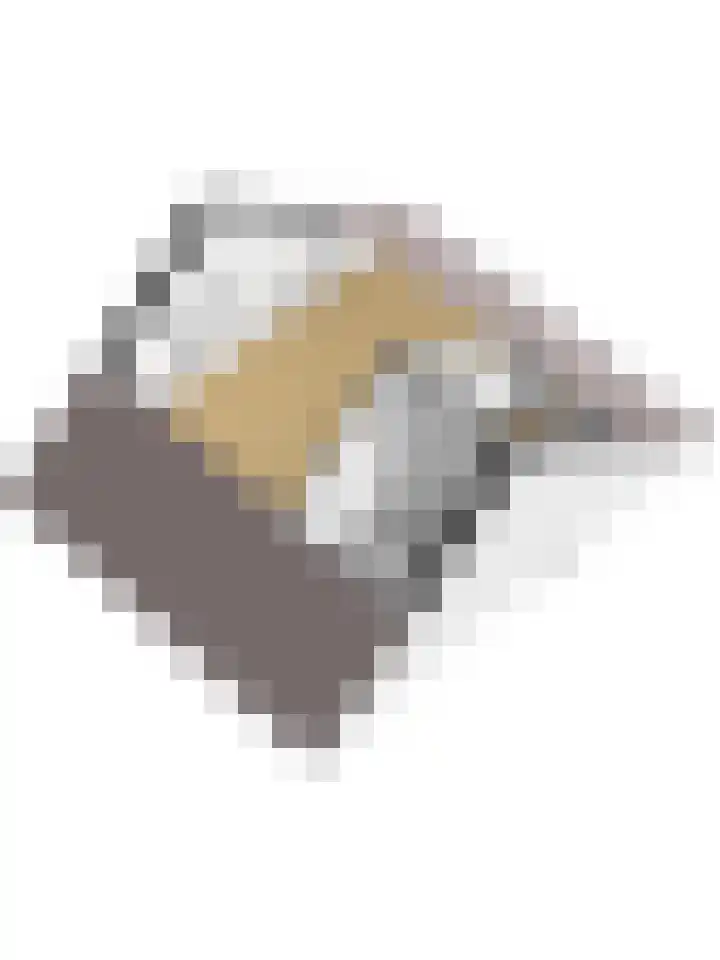 Bronsweg 18 Apeldoorn thumbnail 36