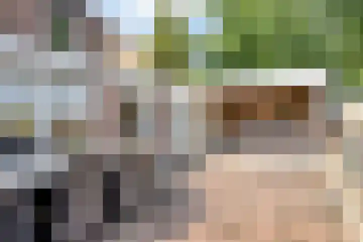Bronweg 1 A Maastricht thumbnail 20