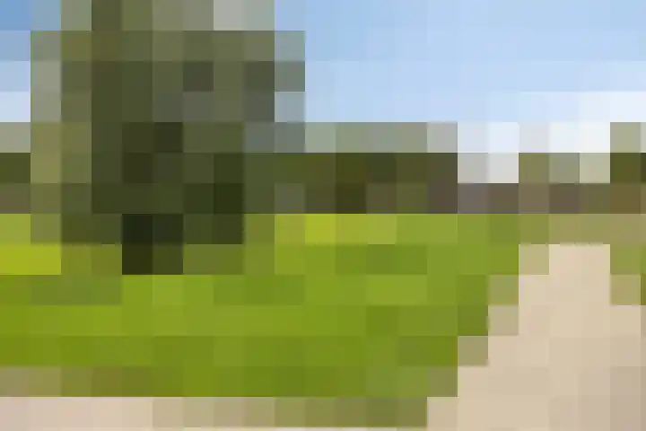 Bronweg 1 A Maastricht thumbnail 22