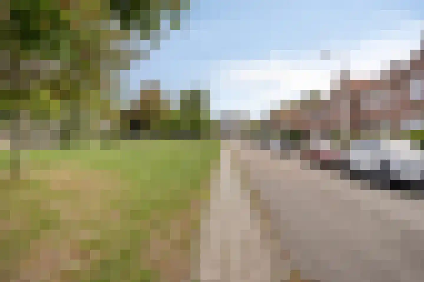 Bronweg 21 Maastricht thumbnail 37