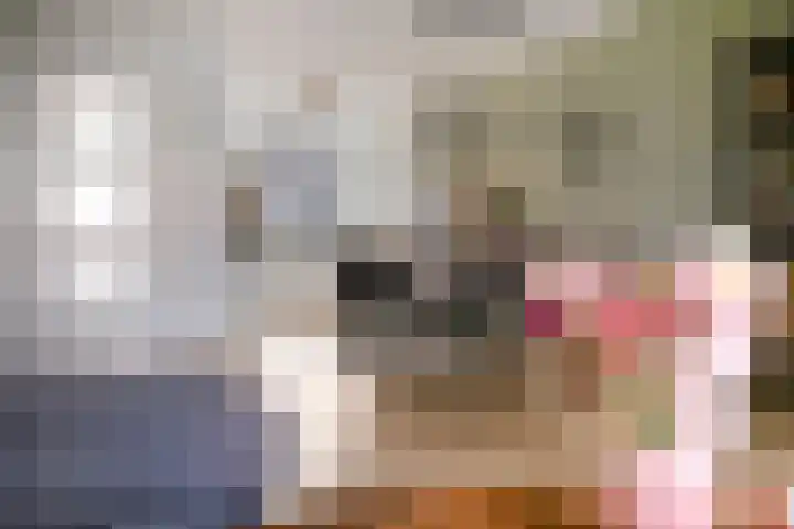 Broodakker 17 Schaijk thumbnail 18