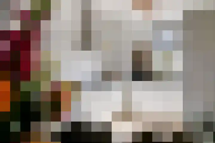 Broodakker 17 Schaijk thumbnail 20