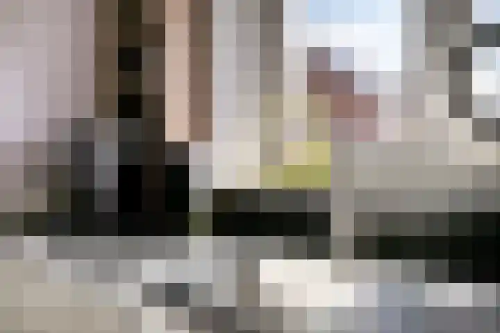 Broodakker 17 Schaijk thumbnail 22