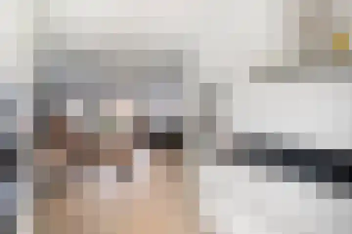 Broodakker 17 Schaijk thumbnail 23