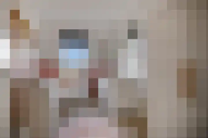 Broodakker 17 Schaijk thumbnail 30