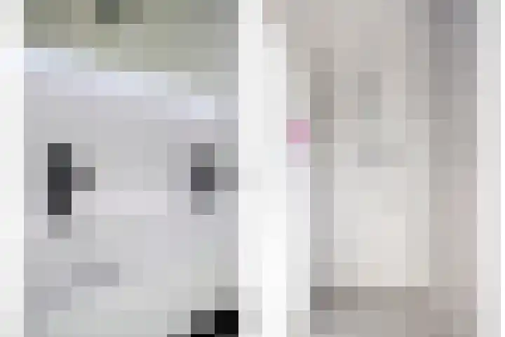 Broodakker 17 Schaijk thumbnail 34