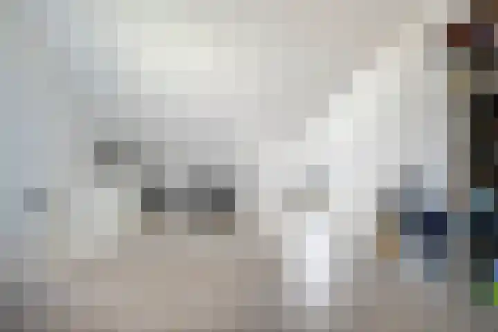 Broodakker 17 Schaijk thumbnail 36