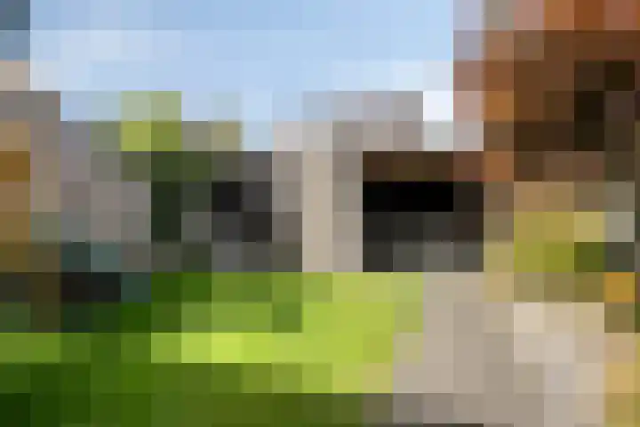 Broodakker 17 Schaijk thumbnail 41