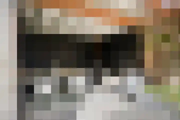 Broodakker 17 Schaijk thumbnail 42