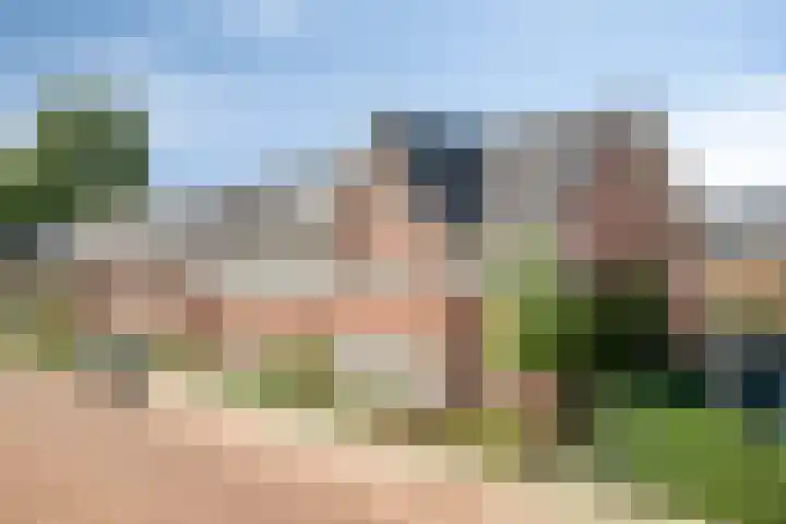 Broodakker 17 Schaijk thumbnail 43