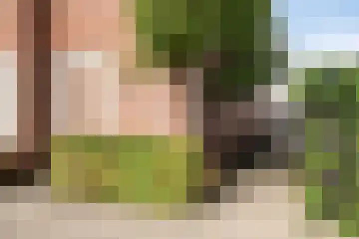 Broodakker 17 Schaijk thumbnail 44