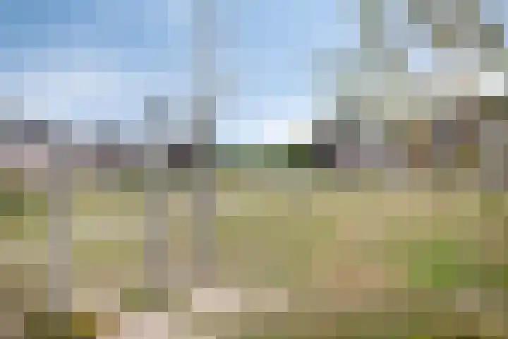 Broodakker 17 Schaijk thumbnail 48