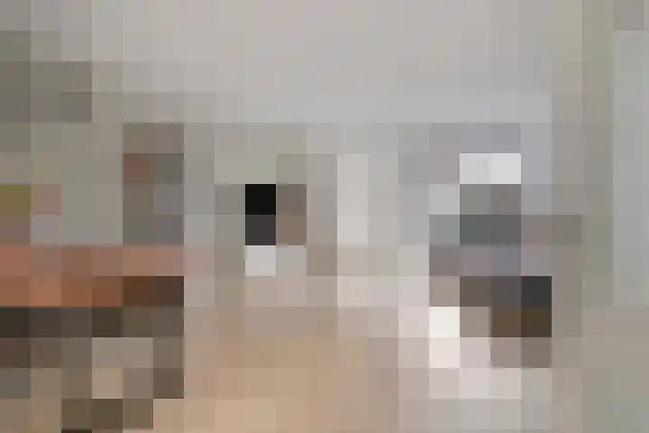 Broodakker 17 Schaijk thumbnail 8