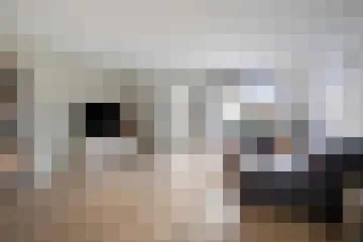Broodakker 17 Schaijk thumbnail 9