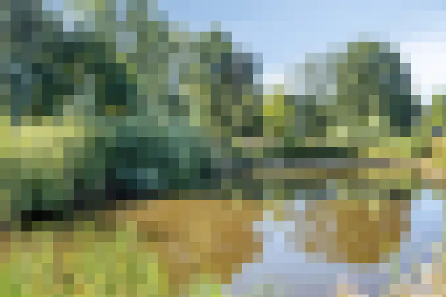 Broodakker 23 Schaijk thumbnail 30