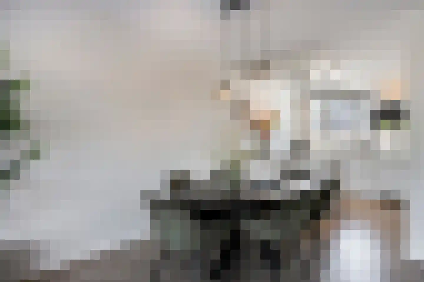 Broodakker 23 Schaijk thumbnail 9