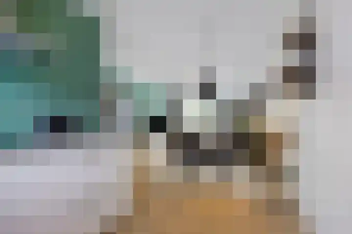 Broodakker 29 Schaijk thumbnail 11