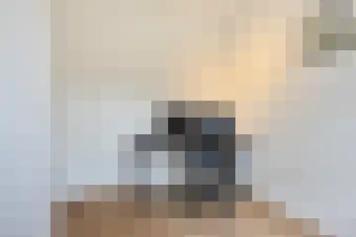 Broodakker 29 Schaijk thumbnail 19