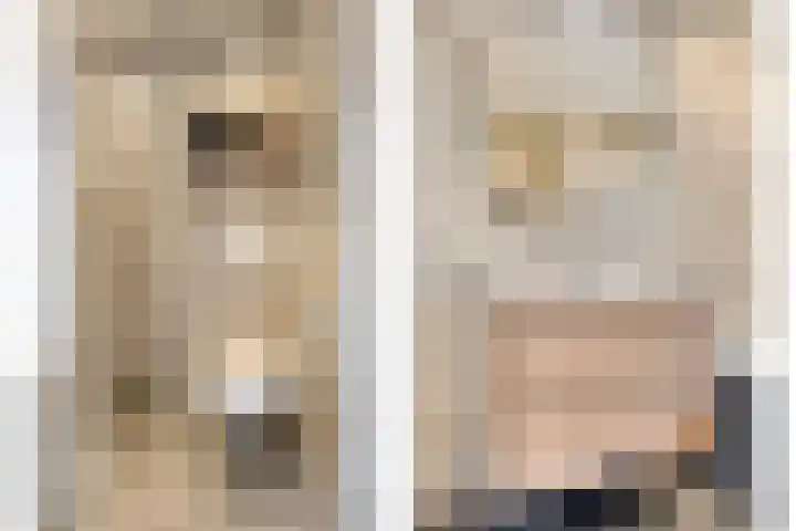 Broodakker 29 Schaijk thumbnail 23