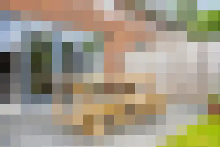 Broodakker 29 Schaijk thumbnail 27