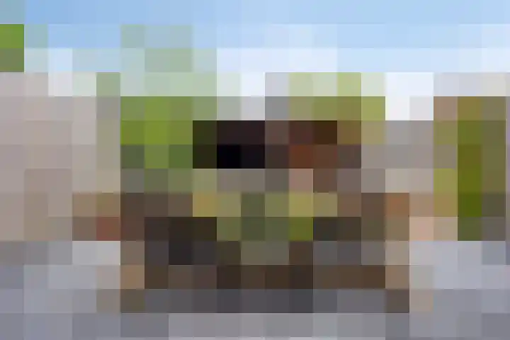 Broodakker 29 Schaijk thumbnail 29