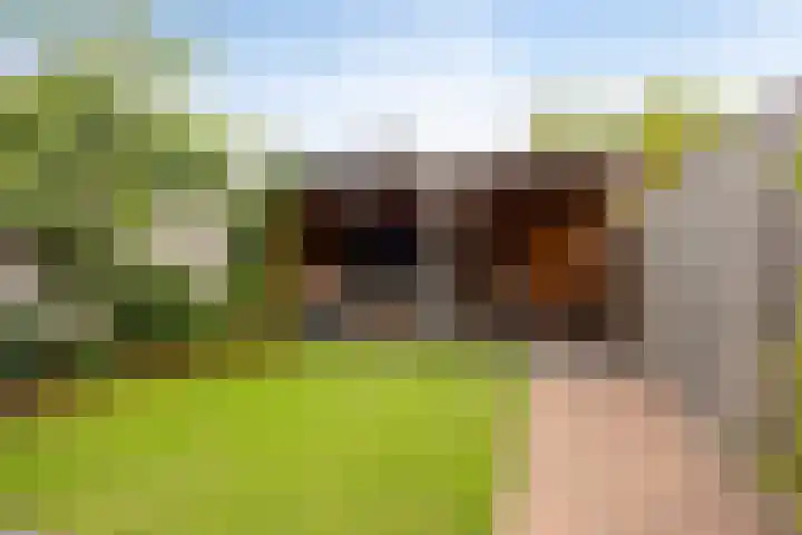 Broodakker 29 Schaijk thumbnail 30