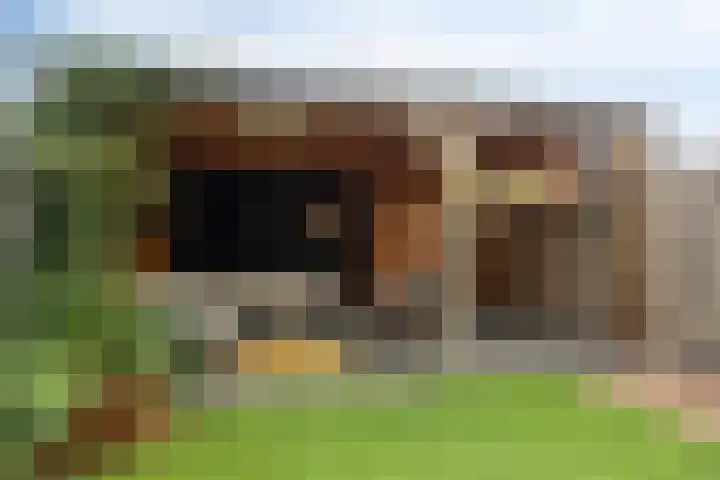 Broodakker 29 Schaijk thumbnail 31