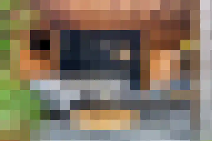 Broodakker 29 Schaijk thumbnail 32