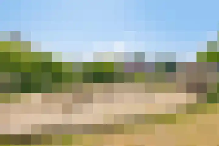 Broodakker 29 Schaijk thumbnail 36