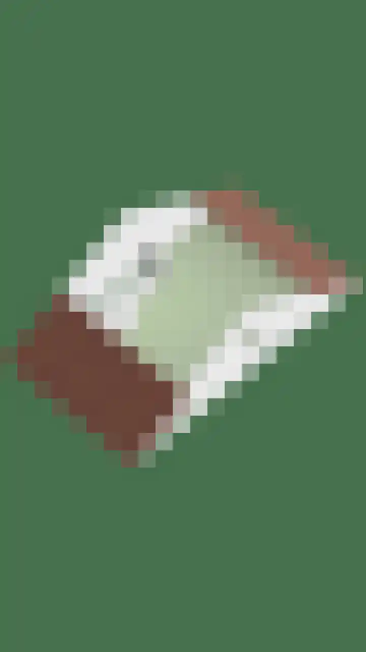 Broodakker 29 Schaijk thumbnail 45