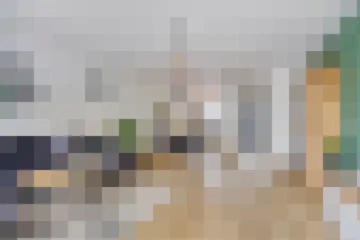Broodakker 29 Schaijk thumbnail 8