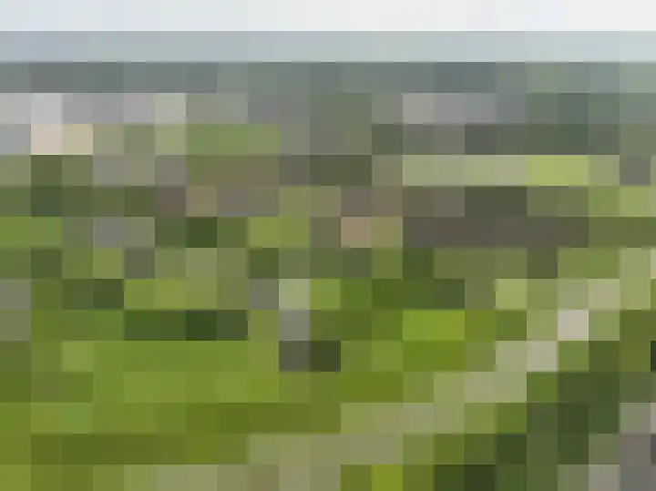Broodakkerbrink 117 Harderwijk thumbnail 9